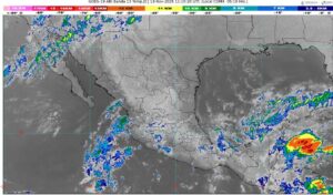 Imagen de WhatsApp 2025-11-13 a las 07.41.41_d9abff94