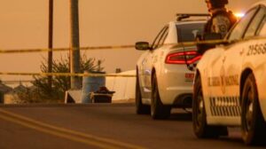 Imagen de WhatsApp 2025-11-17 a las 09.06.32_59ffe0d4