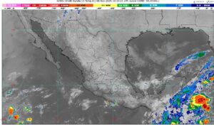 WhatsApp Image 2025-11-04 at 07.49.13