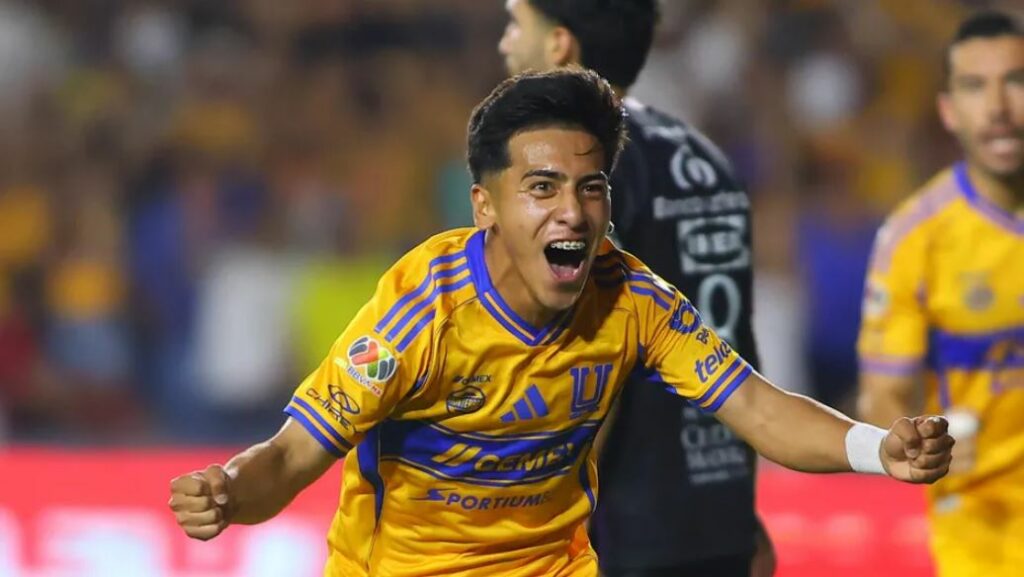 WhatsApp Image 2025-11-08 at 10.03.37