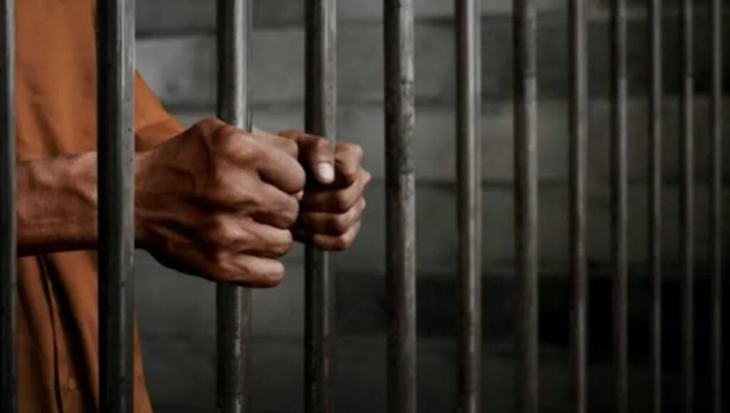 WhatsApp Image 2025-11-08 at 14.43.00