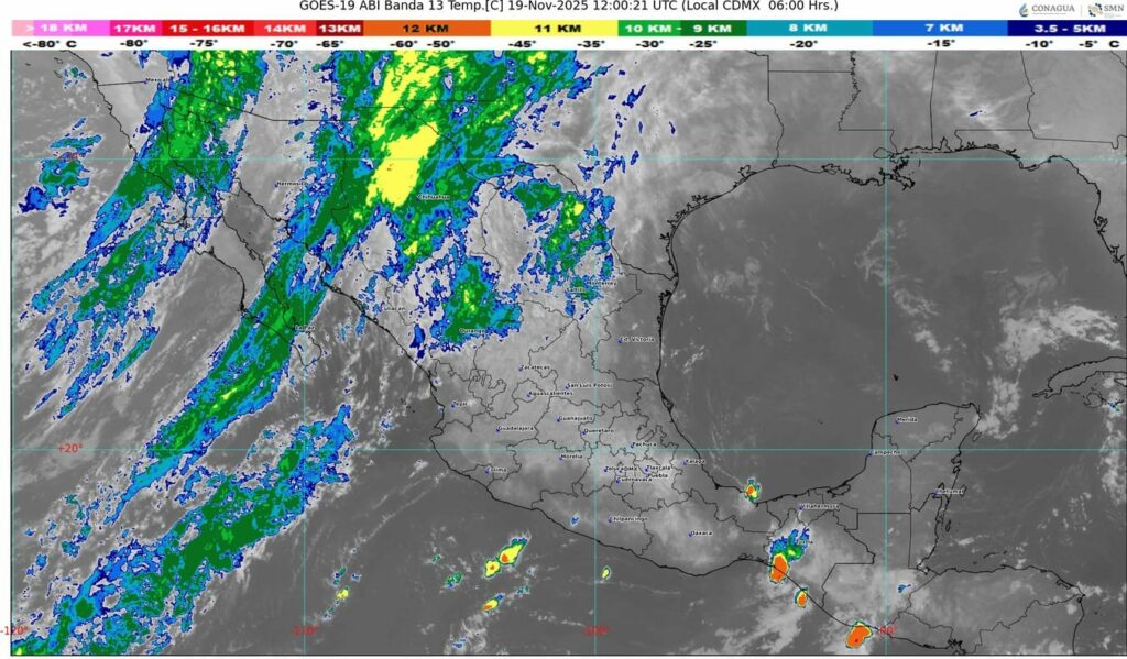 WhatsApp Image 2025-11-19 at 08.31.28