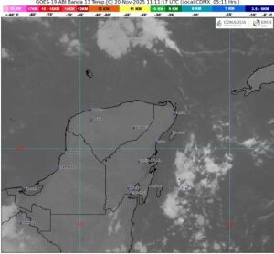 WhatsApp Image 2025-11-20 at 07.41.01