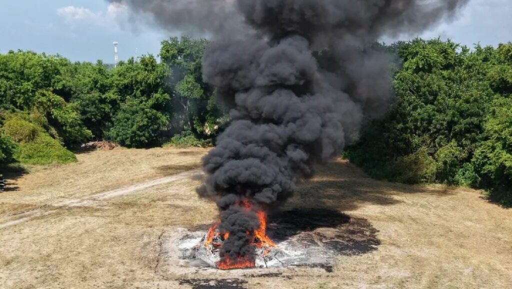 WhatsApp Image 2025-11-22 at 11.46.12