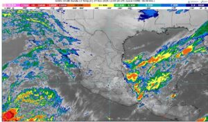 WhatsApp Image 2025-11-27 at 08.11.51