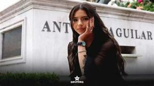 WhatsApp Image 2025-12-01 at 11.43.07