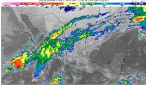 WhatsApp Image 2025-12-02 at 07.27.42