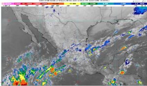 WhatsApp Image 2025-12-08 at 07.15.55