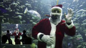 WhatsApp Image 2025-12-19 at 11.55.01