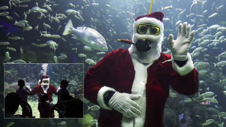 WhatsApp Image 2025-12-19 at 11.55.01