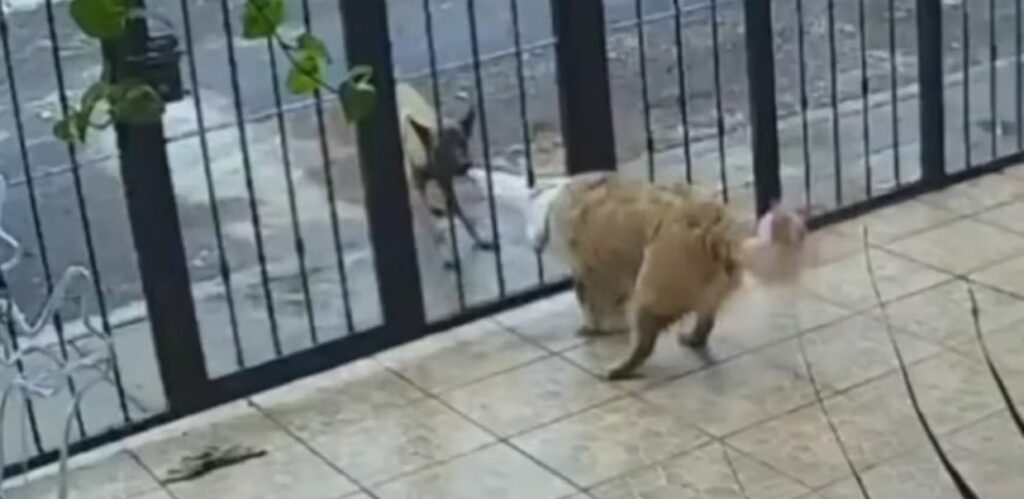 WhatsApp Image 2025-12-20 at 21.30.35