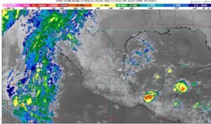 WhatsApp Image 2025-12-24 at 08.42.37