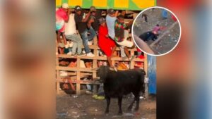 WhatsApp Image 2025-12-26 at 10.04.19