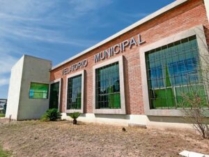 WhatsApp Image 2025-12-31 at 11.04.03