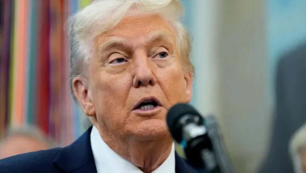 WhatsApp Image 2026-01-03 at 11.20.52