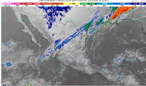 WhatsApp Image 2026-01-10 at 08.36.46