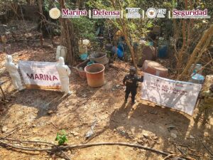 WhatsApp Image 2026-01-12 at 08.53.07