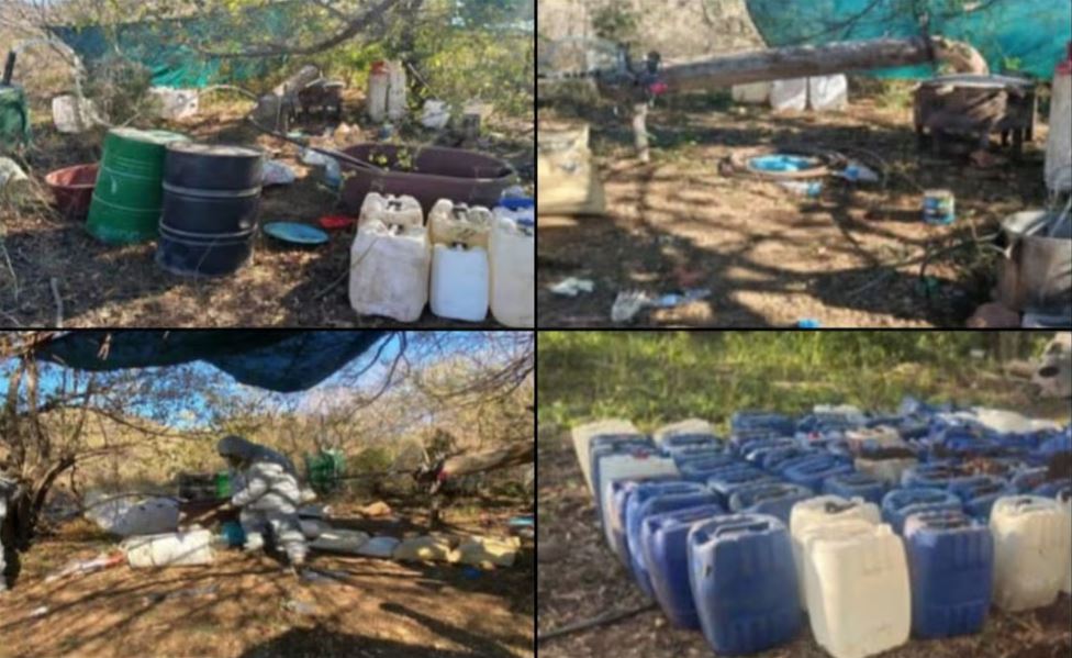 WhatsApp Image 2026-01-16 at 11.17.22