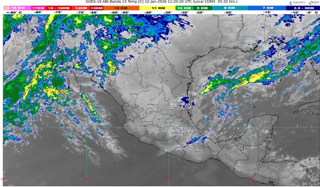 WhatsApp Image 2026-01-22 at 08.12.43