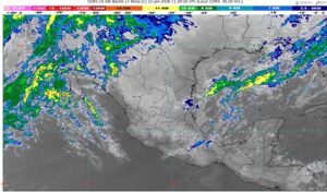 WhatsApp Image 2026-01-22 at 08.12.43