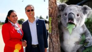 WhatsApp Image 2026-01-23 at 09.02.09