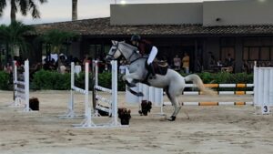 WhatsApp Image 2026-02-04 at 10.06.56