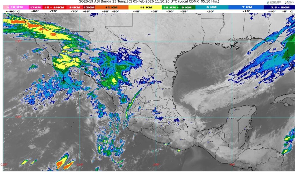 WhatsApp Image 2026-02-05 at 07.51.11