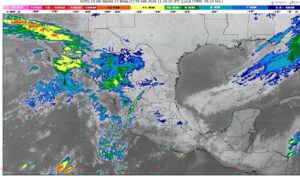 WhatsApp Image 2026-02-05 at 07.51.11