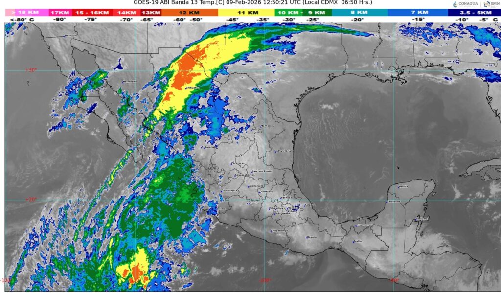 WhatsApp Image 2026-02-09 at 08.20.43