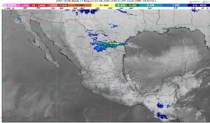 WhatsApp Image 2026-02-23 at 07.47.26