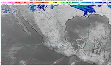 WhatsApp Image 2026-02-24 at 08.05.25