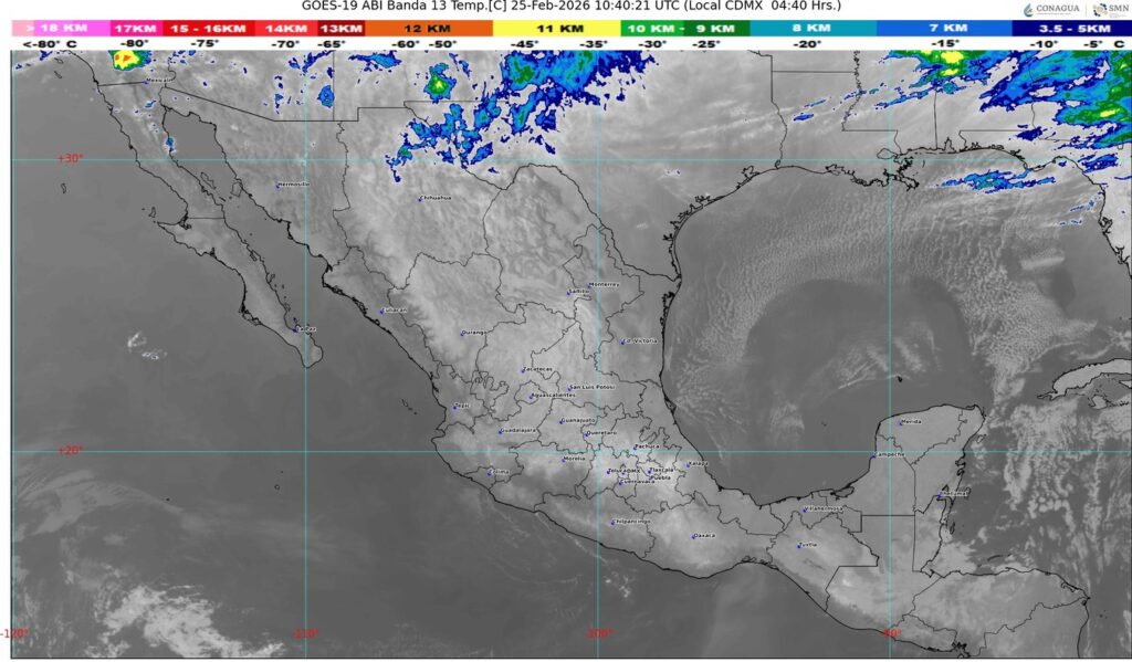 WhatsApp Image 2026-02-25 at 08.14.12