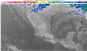 WhatsApp Image 2026-02-25 at 08.14.12