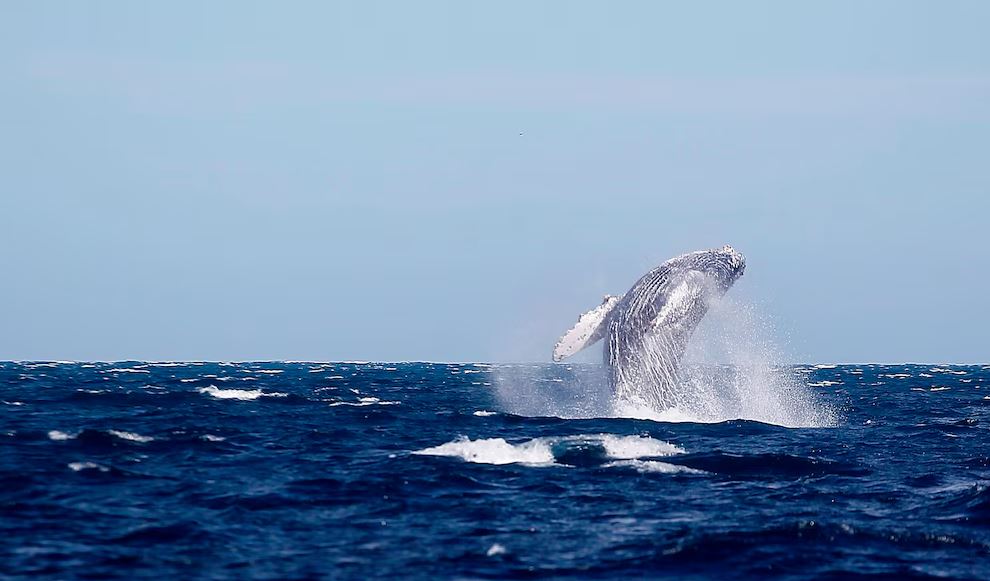 WhatsApp Image 2026-02-25 at 11.29.05