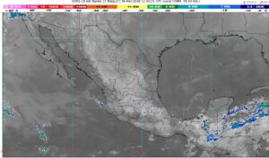 WhatsApp Image 2026-03-26 at 08.09.57