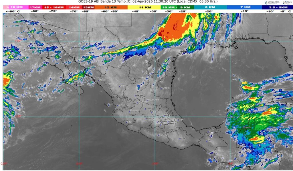 WhatsApp Image 2026-04-02 at 08.34.26