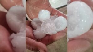 WhatsApp Image 2026-04-04 at 14.49.07