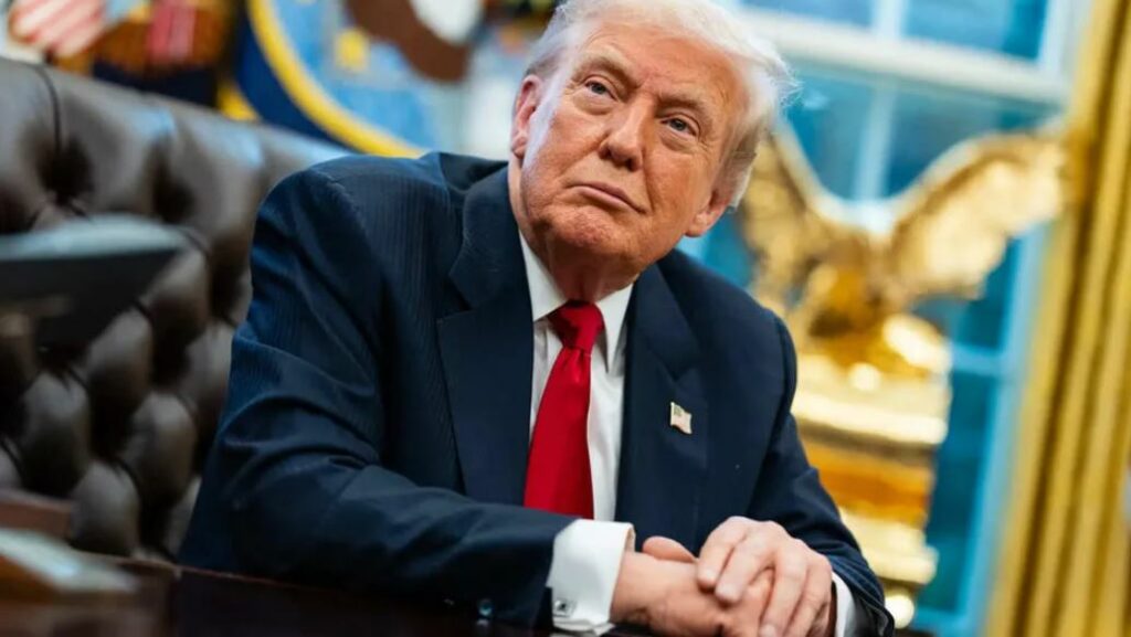 WhatsApp Image 2026-04-11 at 11.48.49