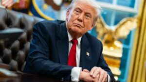 WhatsApp Image 2026-04-11 at 11.48.49