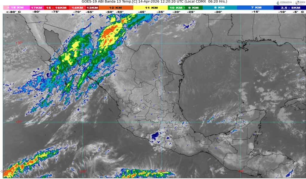 WhatsApp Image 2026-04-14 at 08.02.28