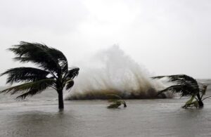 WhatsApp Image 2026-04-16 at 09.01.15