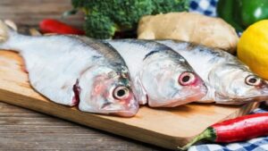 WhatsApp Image 2026-04-17 at 09.32.28