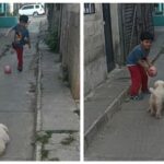 Pequeño juega futbol con su perrito portero y conquista redes