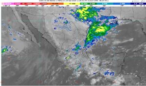 WhatsApp Image 2026-04-20 at 08.19.54