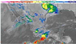 WhatsApp Image 2026-04-21 at 08.03.27