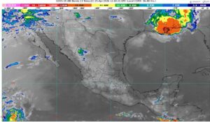 WhatsApp Image 2026-04-25 at 08.07.35