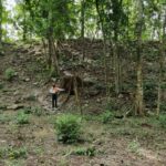 Pobladores revelan sitio maya El Jefeciño en Quintana Roo