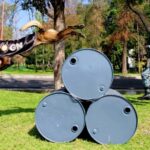 Guardia Nacional mantiene cinco binomios caninos en Guanajuato para la búsqueda permanente de personas